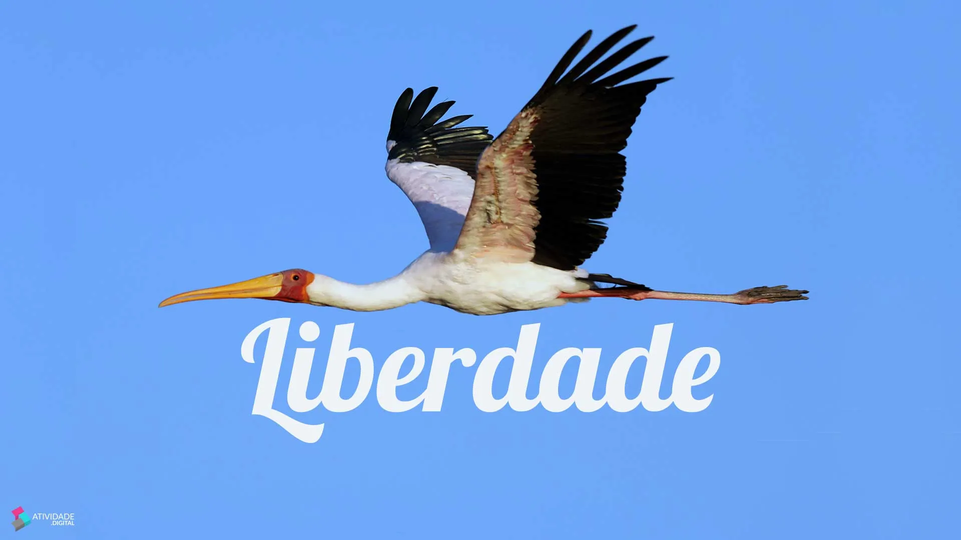 Liberdade , um direito precioso