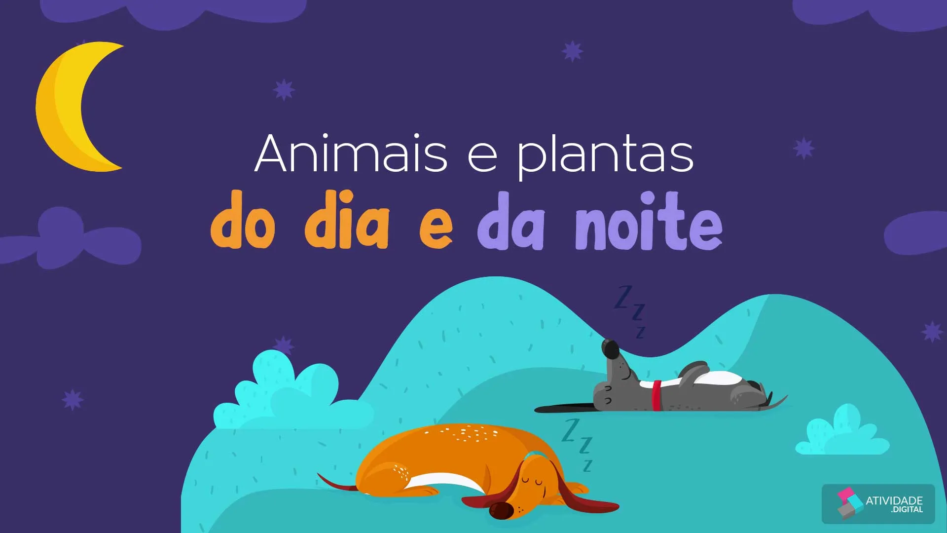 Animais e plantas do dia e da noite