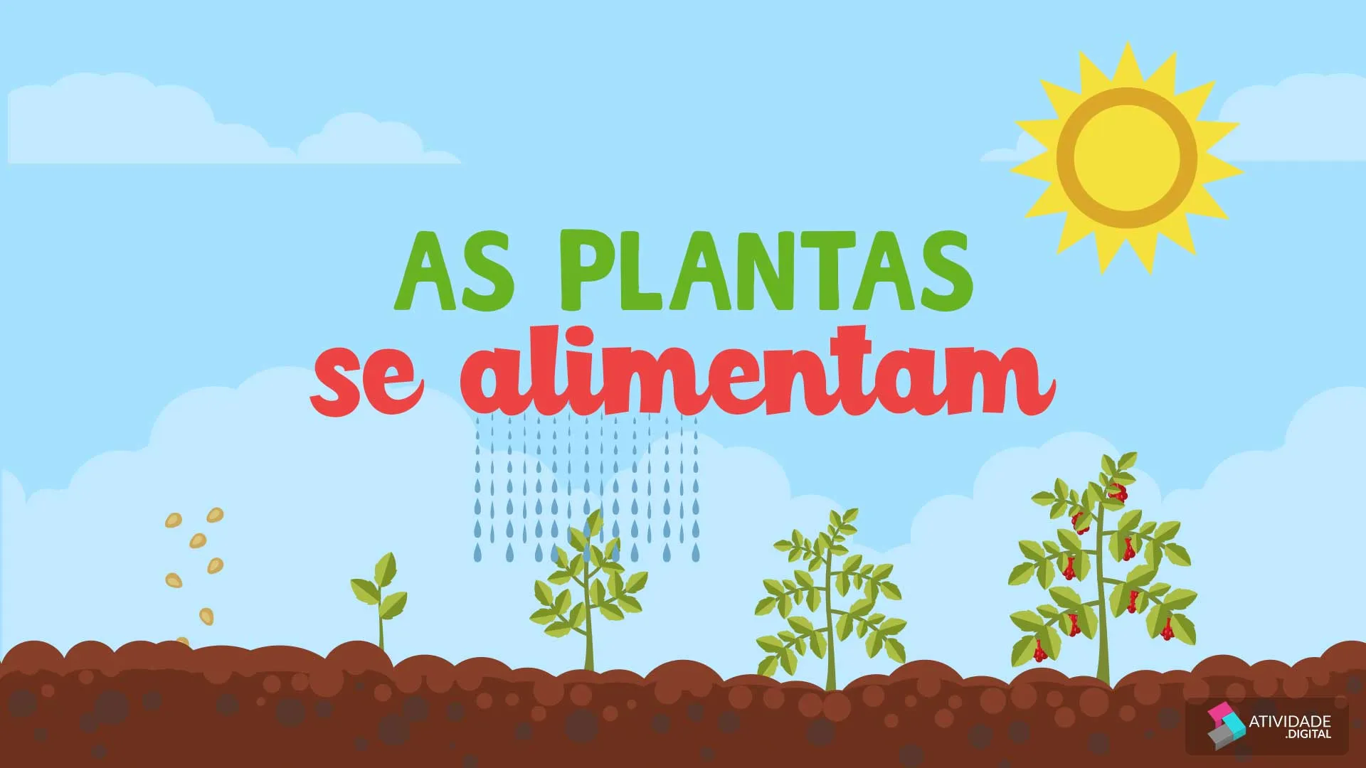 As plantas se alimentam