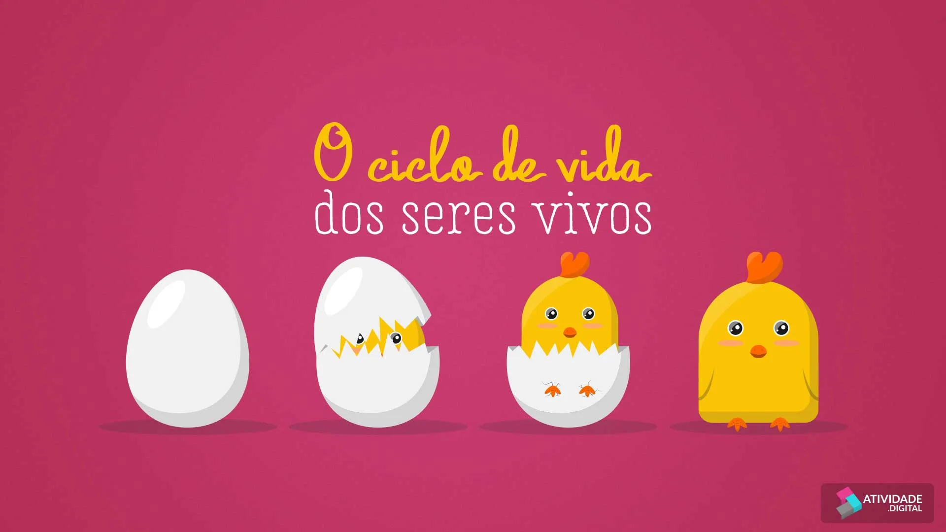 O ciclo de vida dos seres vivos