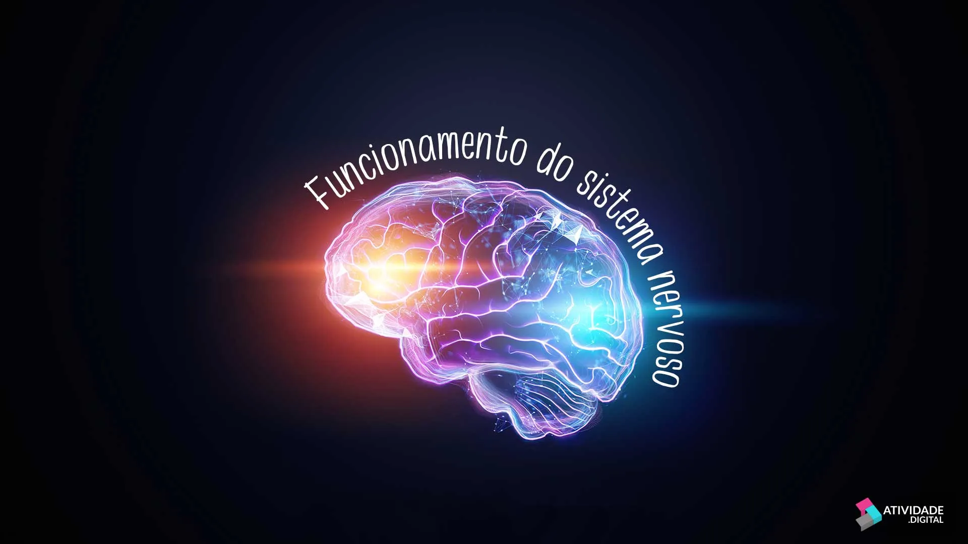 Funcionamento do sistema nervoso