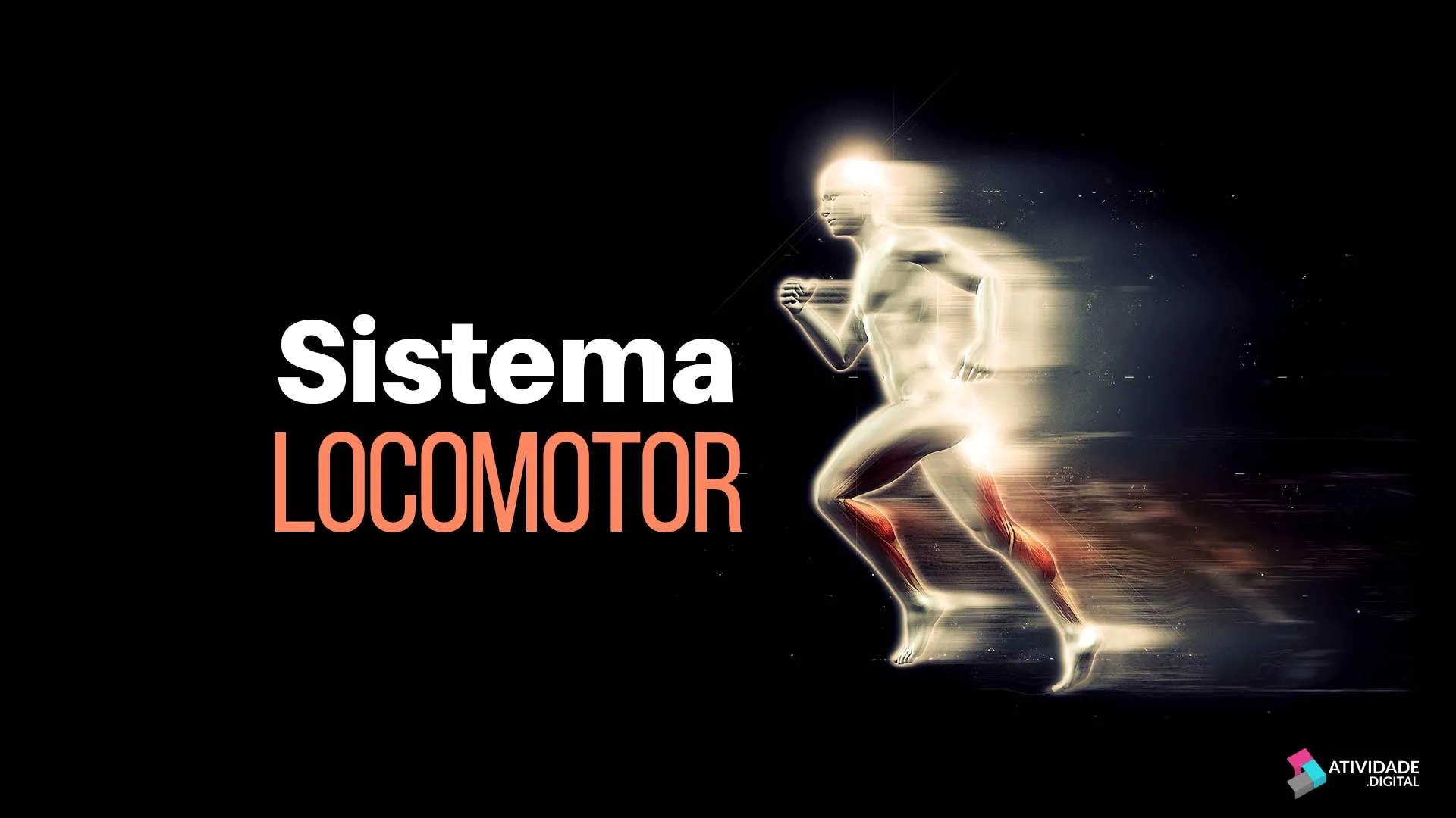 Sistema locomotor