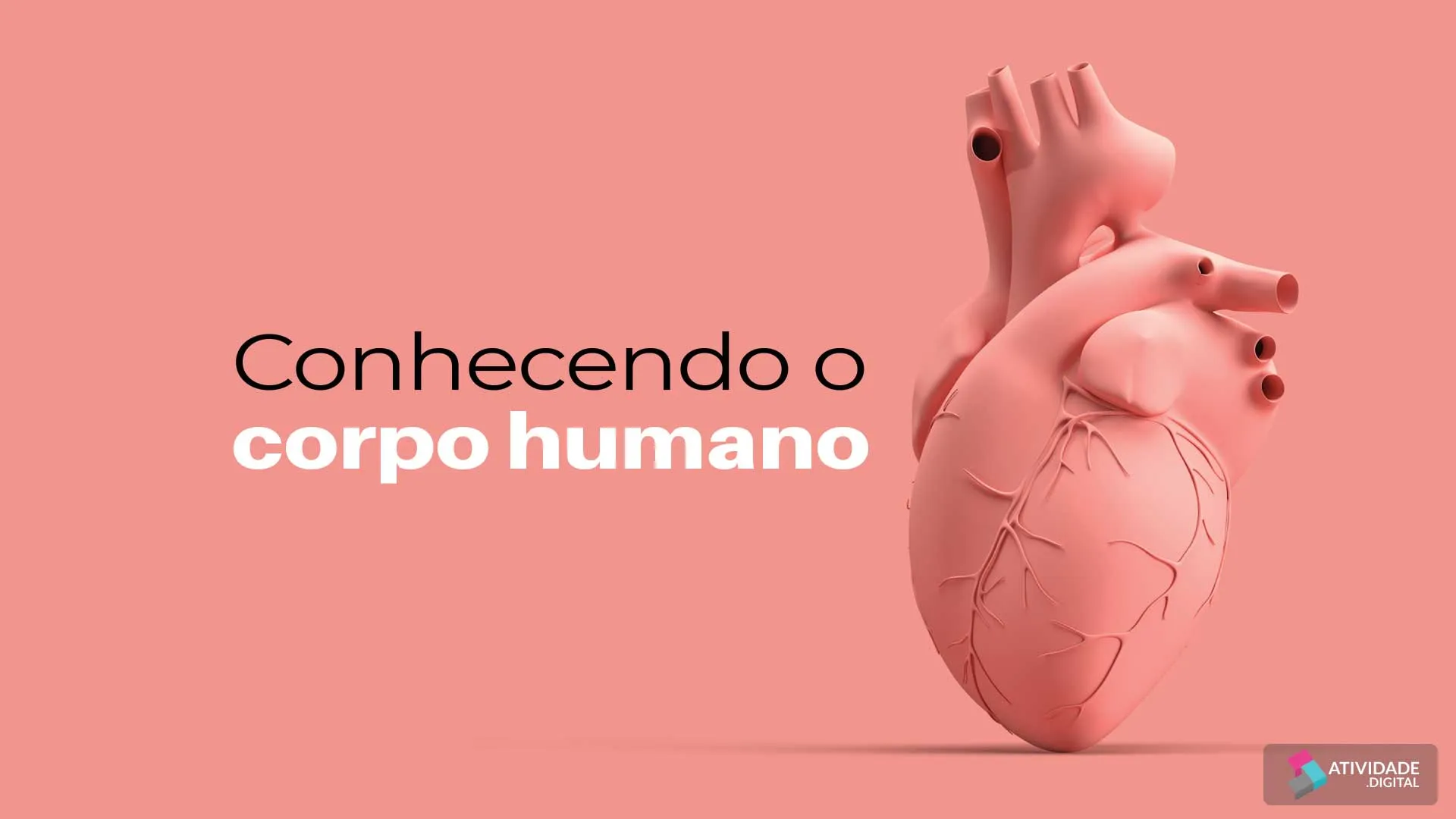 Conhecendo o corpo humano