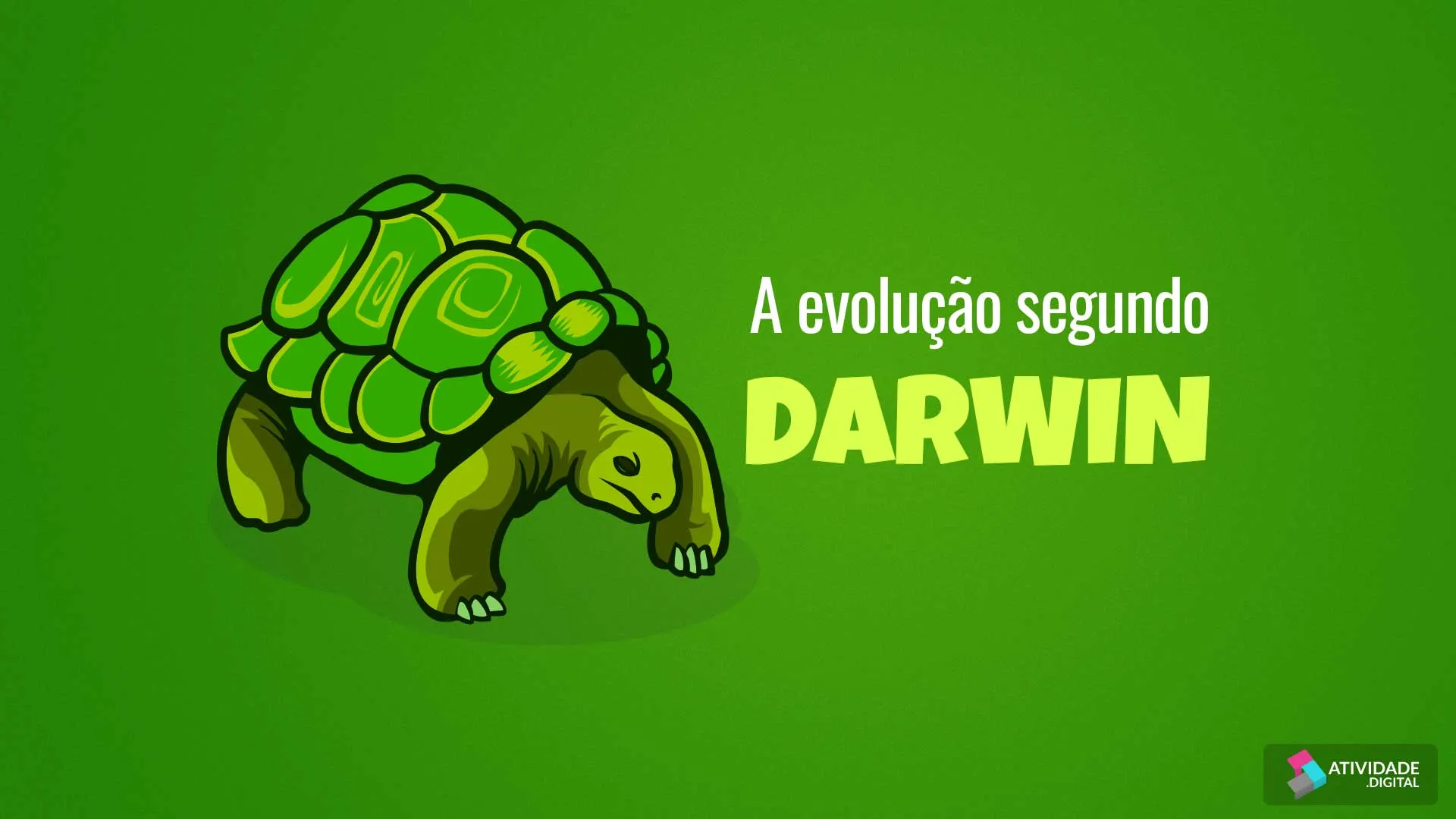 A evolução segundo Darwin