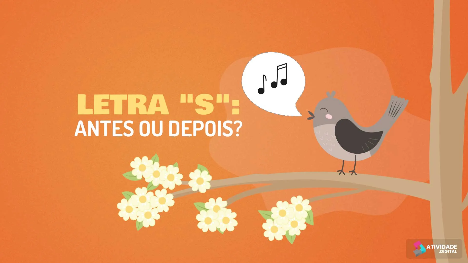 Letra S: antes ou depois?